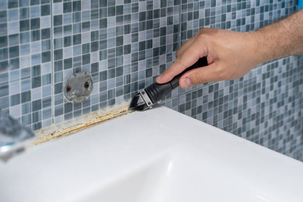Best Black Mold Remediation in Penhook, VA